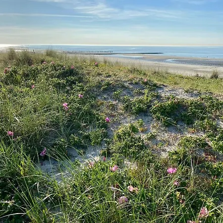 Gustav - Moderne Maisonette-wohnung Mit Terrasse * Wangerooge